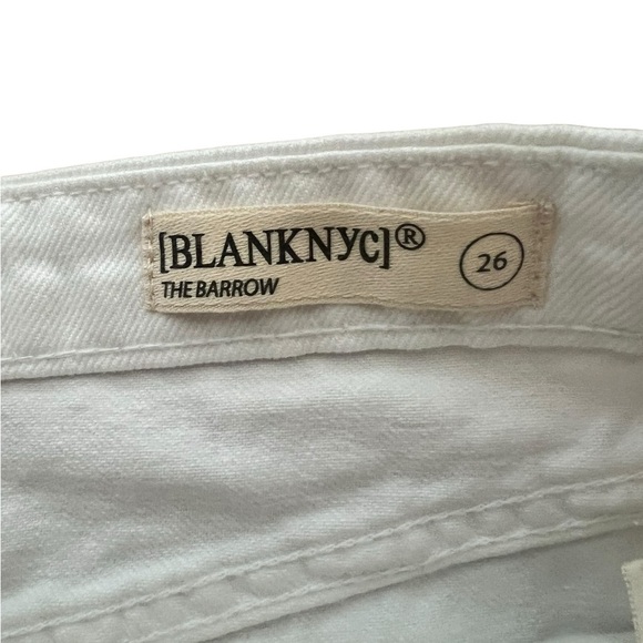 BLANKNYC. The BARROW Shorts Size 26 - Picture 2 of 4